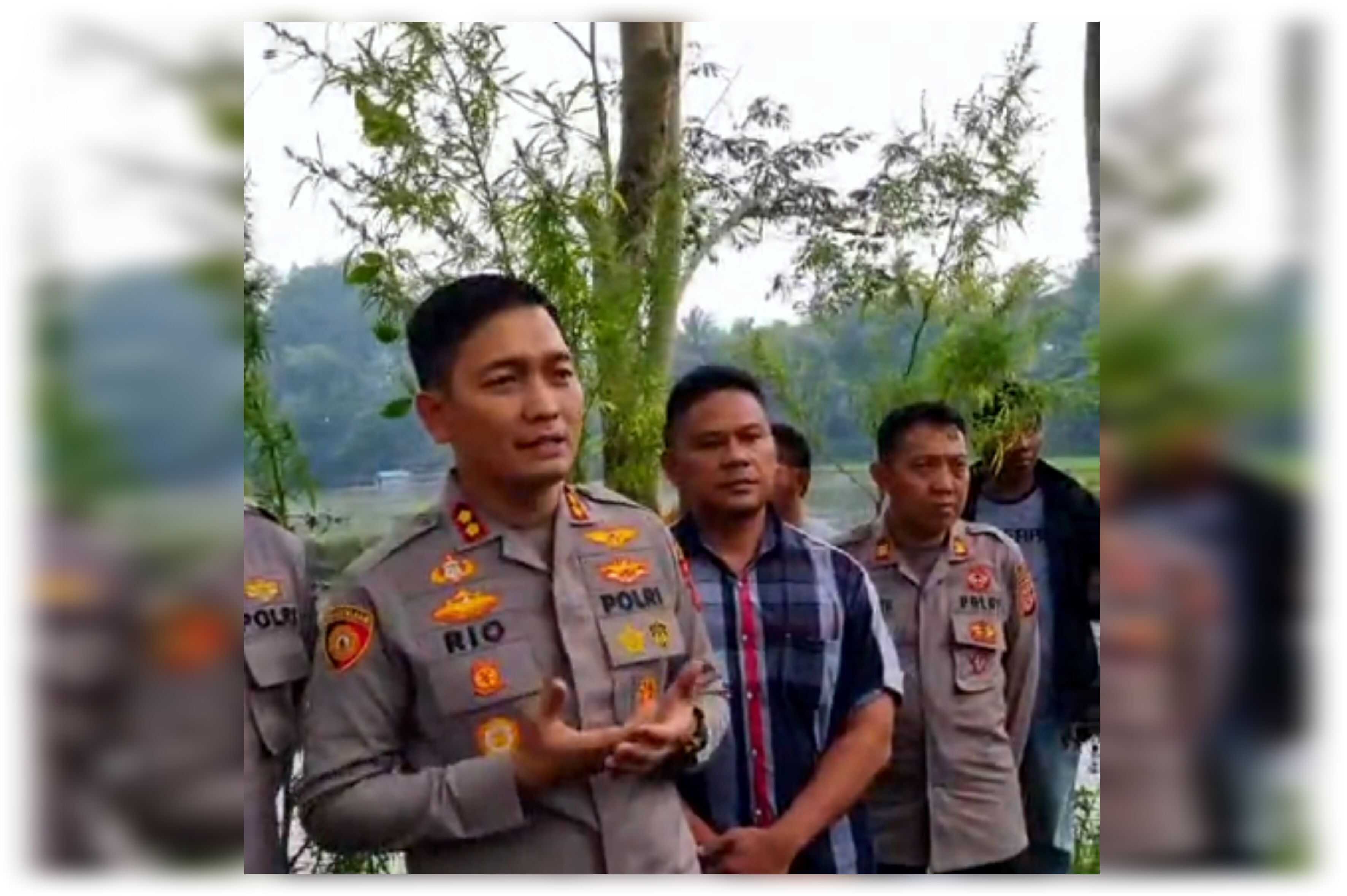 Polisi Temukan Ratusan Pohon Ganja di Kawasan Situ Cangkuang Garut